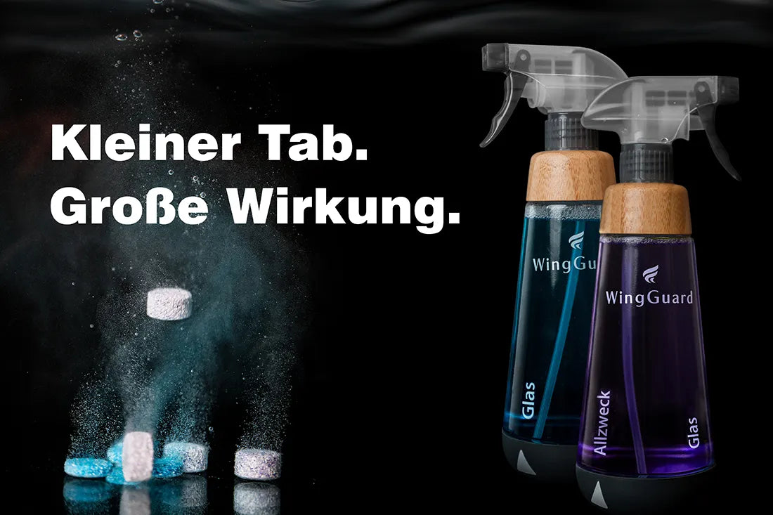Wir starten die Putz-Revolution