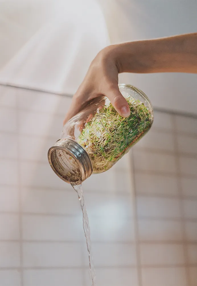 Sprossenglas Set (1000 ml)