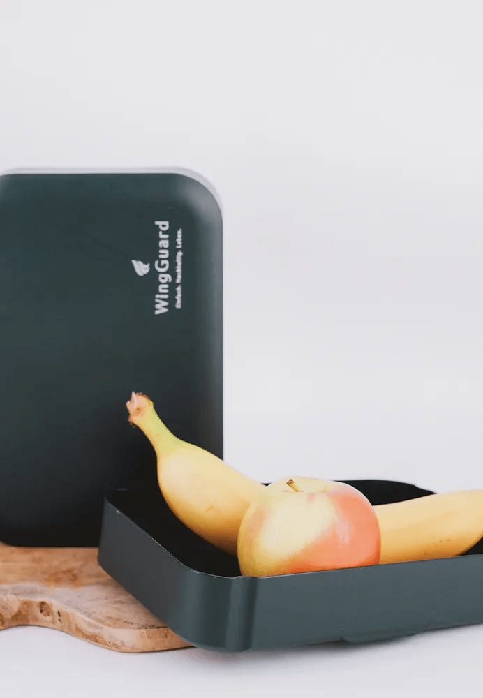 nachhaltige Lunchbox