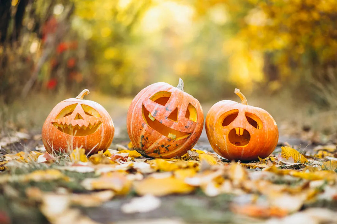 5 unheimlich nachhaltige Halloween Tipps