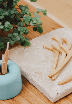 Zahnseide Sticks aus Bambus