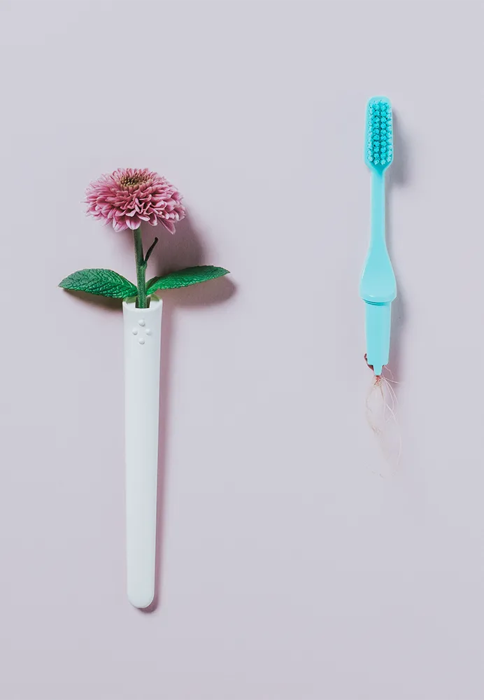 Toothbrush interchangeable heads 