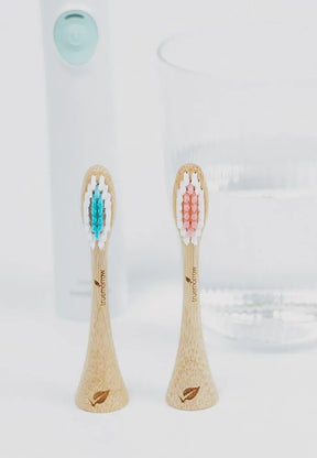 Bamboo brush heads for Philips Sonicare (pack of 2) white